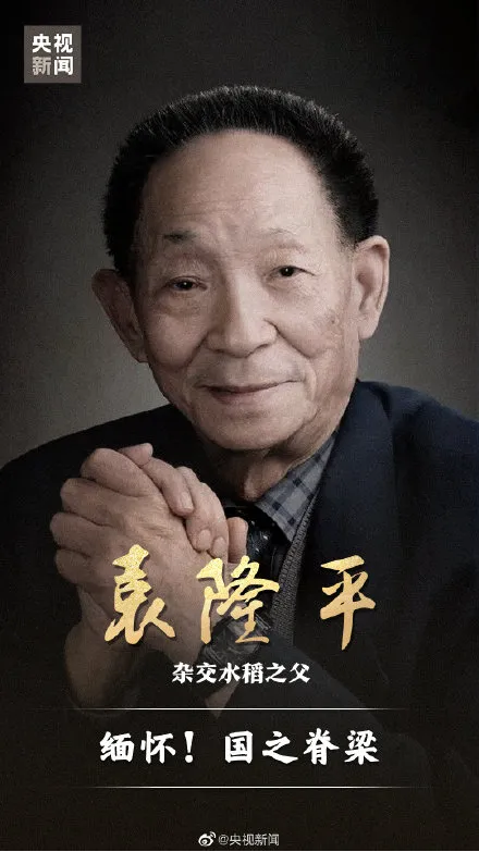 袁隆平院士给妈妈的信看哭了无数人(给母亲写的一封信)-第1张图片 袁隆平院士给妈妈的信看哭了无数人(给母亲写的一封信)-第1张图片